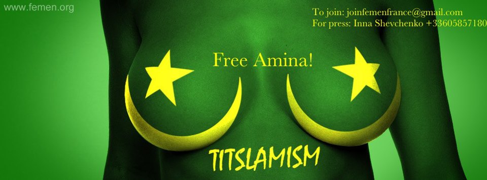 http://femen.info/files/2013/03/free-amina-titslamism.jpeg